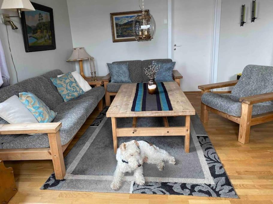 Kleiva 8 Skorovas Ferienhaus