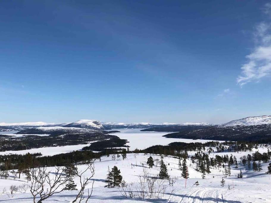 Kleiva 8 Skorovas Namsskogan